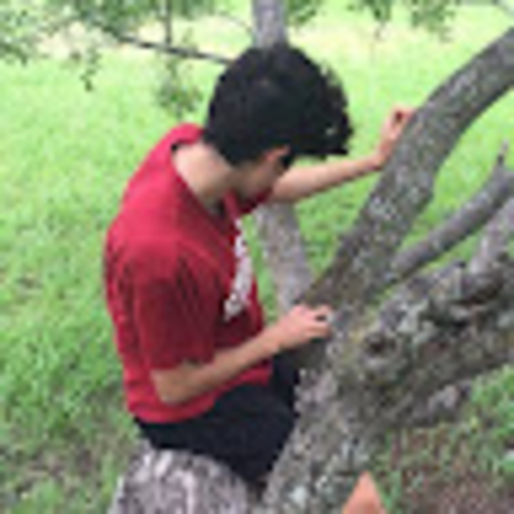 Meet your Posher, Lindsey